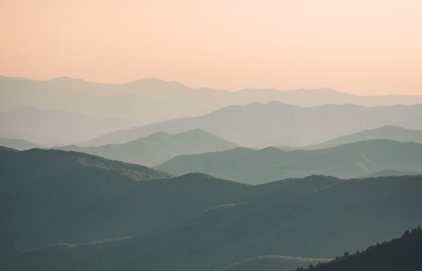 Телесная осознанность для эксперта